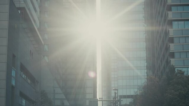 Sun Flares Through Modern Skyscrapers In Tokyo City, Japan. low angle, tilt-up shot