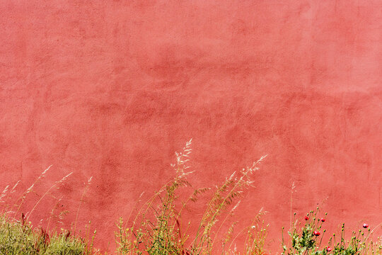 Close-up of textured terracotta wall adorned with wildflowers, including poppies, against a backdrop of lush vegetation.