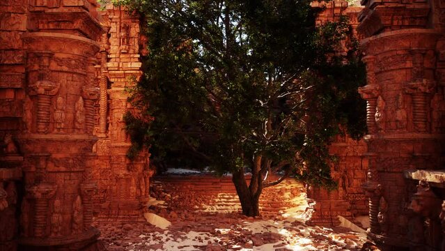 A tree has taken root within the stone archway, blending nature and architecture in a unique setting.