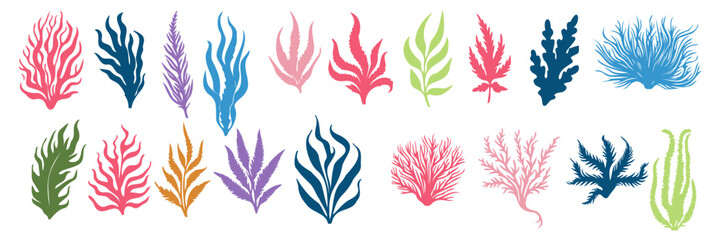 Coral. Seaweed. Under the sea plants. Ocean life.  Isolated on white background Vector illustration EPS 10