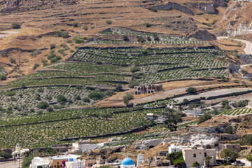 Fototapeta premium Aerial view of farmland and vineyards in the Kamari area on Santorini, Greece