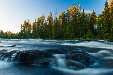 Mountain River Flowing Through a Forested Area in Norway During Sunset