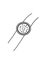 Chlamydospore - Fungal Pathogen 