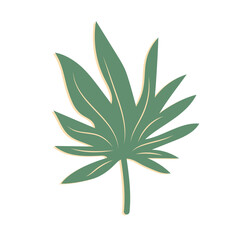 Tropical leaf. Exotic summer botanical icon. Vector illustration isolated on white background.