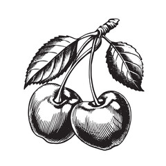 cherry inc sketch