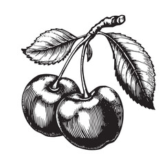 cherry inc sketch