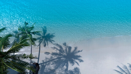 Banner travel with summertime with palm tree and Tropical beach with blue of seashore background
