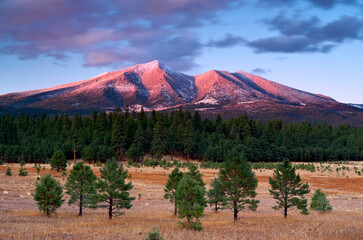 Green forest against the backdrop of mountains. San Francisco Peaks, Arizona