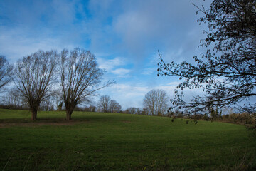 Breathtaking landscape of a green grassy field, vibrant trees, and a blue sky in Bousval, Belgium