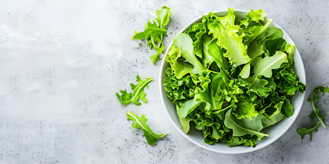 Fresh lettuce and basil leaves on a white background