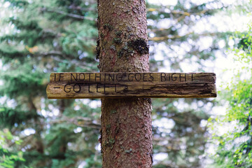 Large tree with a wooden sign attached to its trunk.
