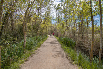 Mother with children walking along a path in a lush forest. Aiguamolls de l'Emporda, Spain