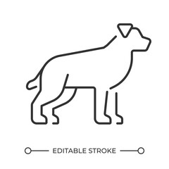 Dog linear icon. Cute domestic animal. Purebreed dog. Faithful companion dog. Veterinary service symbol. Thin line illustration. Contour symbol. Vector outline drawing. Editable stroke