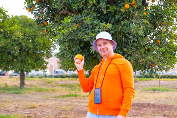 male tourist in Morocco beside orange tree in public garden, holding freshly picked orange,...