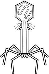 Bacterial virus structure vector by hand drawn	

