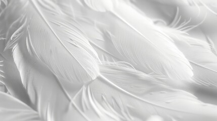 Bright colorful pattern, texture of gray feathers. A beautiful abstraction of colorful feathers.