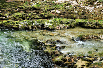 detail in the canyon of Vintgar Gorge, Slovenia