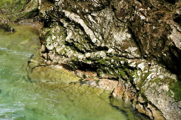 detail in the canyon of Vintgar Gorge, Slovenia