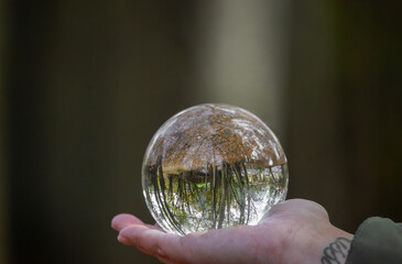 Concept of the environment, a crystal ball held in one hand reflects nature and trees.