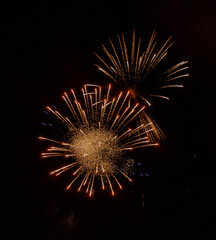 fireworks in the night sky