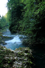 Radovna River in the Vintgar Gorge canyon, Slovenia