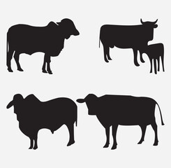 cow vector isulated on white background