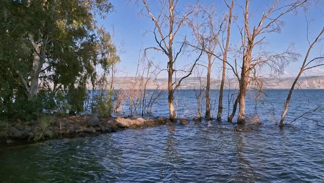 Sea of Galilee Lake as seen from the Greek Orthodox Monastery of the Holy Apostles in Capernaum
