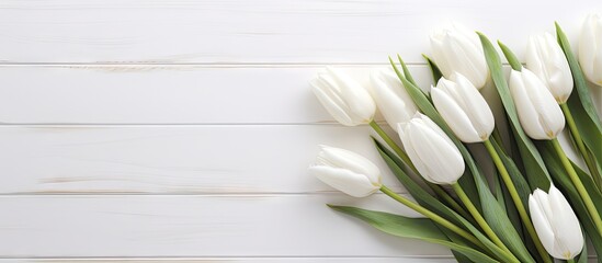 White tulips set against a white wooden backdrop leaving room for a copy space image
