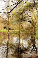 pond in the park, Belgium