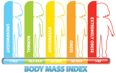 Visual representation of BMI categories