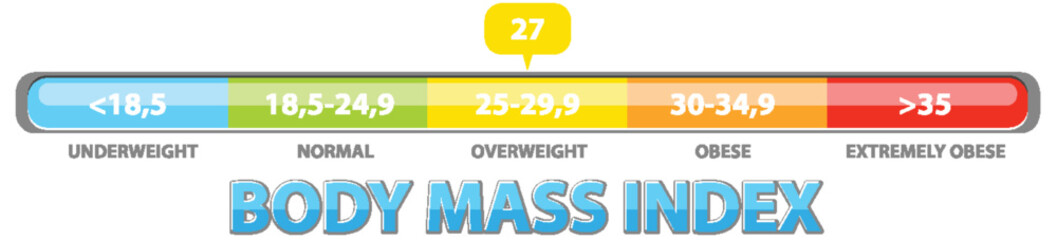 Color-coded BMI scale with weight categories