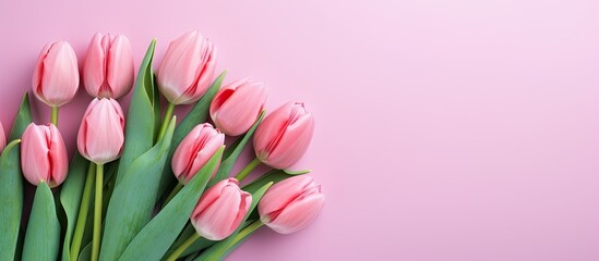 Fototapeta premium A stunning copy space image of a bouquet of vibrant pink tulips perfect for Mother s Day or Women s Day
