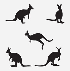 kangaru vector isulated on white background