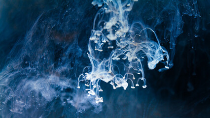 white Ink dropped into the water and photographed while in motion. Paint swirling in water.