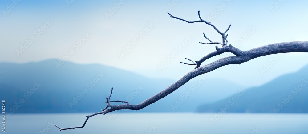 Poster A tree branch stretching horizontally with a backdrop of natural scenery copy space image