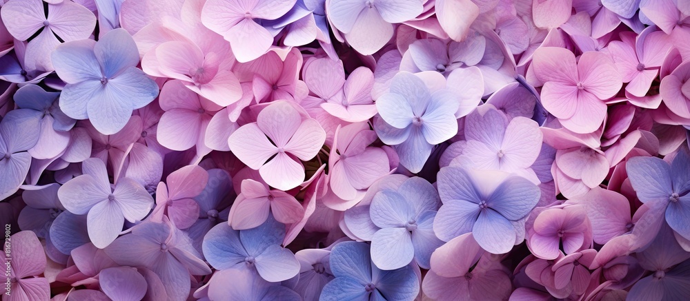 Poster top view of artistic ink background with pastel violet and pink hydrangea flowers copy space image