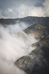 Scenic view of green mountains covered with fog in Pico Ruivo, Portugal