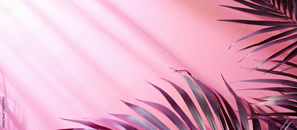 Poster a trendy concept showcasing palm leaves casting shadows on a vibrant pink background highlighting na