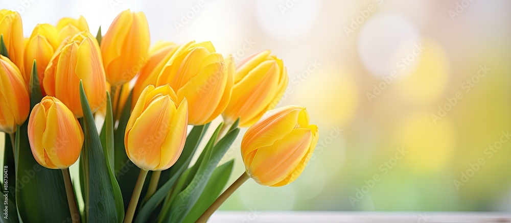 Poster a copy space image showcasing vibrant yellow tulips up close with a beautifully blurred background
