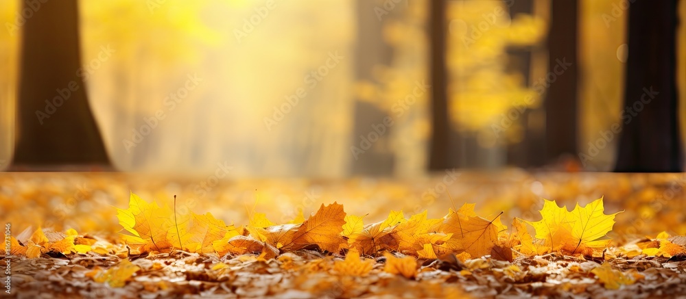 Poster In the tranquil autumn afternoon a picturesque forest is adorned with vibrant yellow maple leaves creating a captivating copy space image on the ground