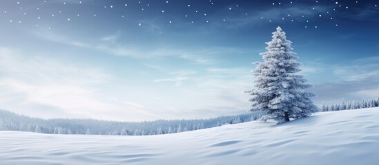 A snowy winter scene with a pine tree perfect for copy space images