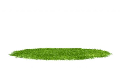 Round surface patch covered with green grass rotation on white background. Realistic natural element for presentation design. Bright 3d animation with alpha matte channel.