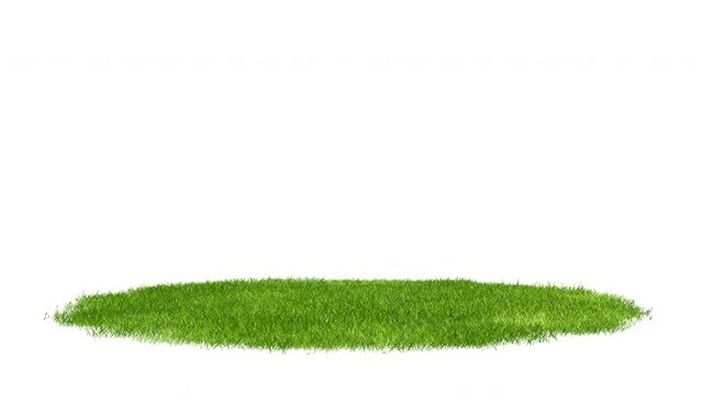 Round surface patch covered with green grass rotation on white background. Realistic natural element for presentation design. Bright 3d animation with alpha matte channel.