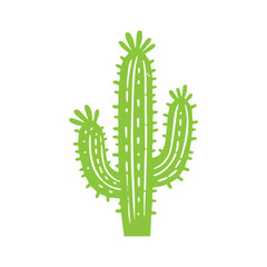 hand draw cactus plant flat design