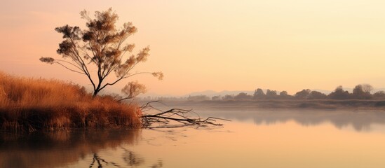 At sunset hour a dry plant stands against a serene river with trees on the riverbank reflecting in the water Copy space image 114 characters