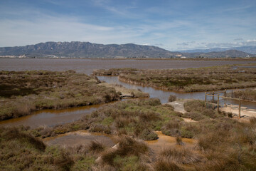 Scenic landscape view featuring an expanse of clear water in the Ebro Delta, Catalonia