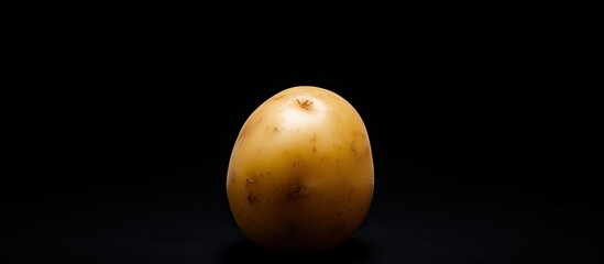 A copy space image of a raw potato placed on a black background