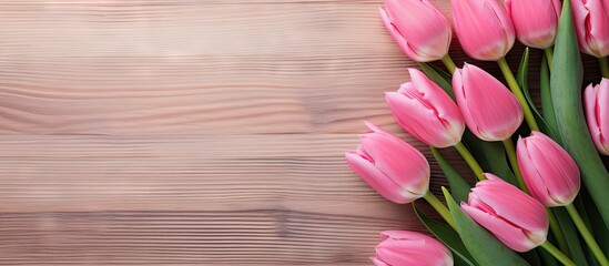 A copy space image of tulips arranged on a backdrop of pink wooden
