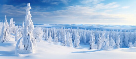 A scenic view of Lapland in Europe on a sunny day showcasing a breathtaking landscape covered in snow. with copy space image. Place for adding text or design