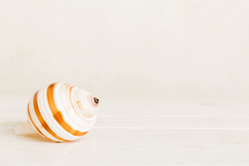 Summer time concept with sea shells or starfish on a table background with copy space for text